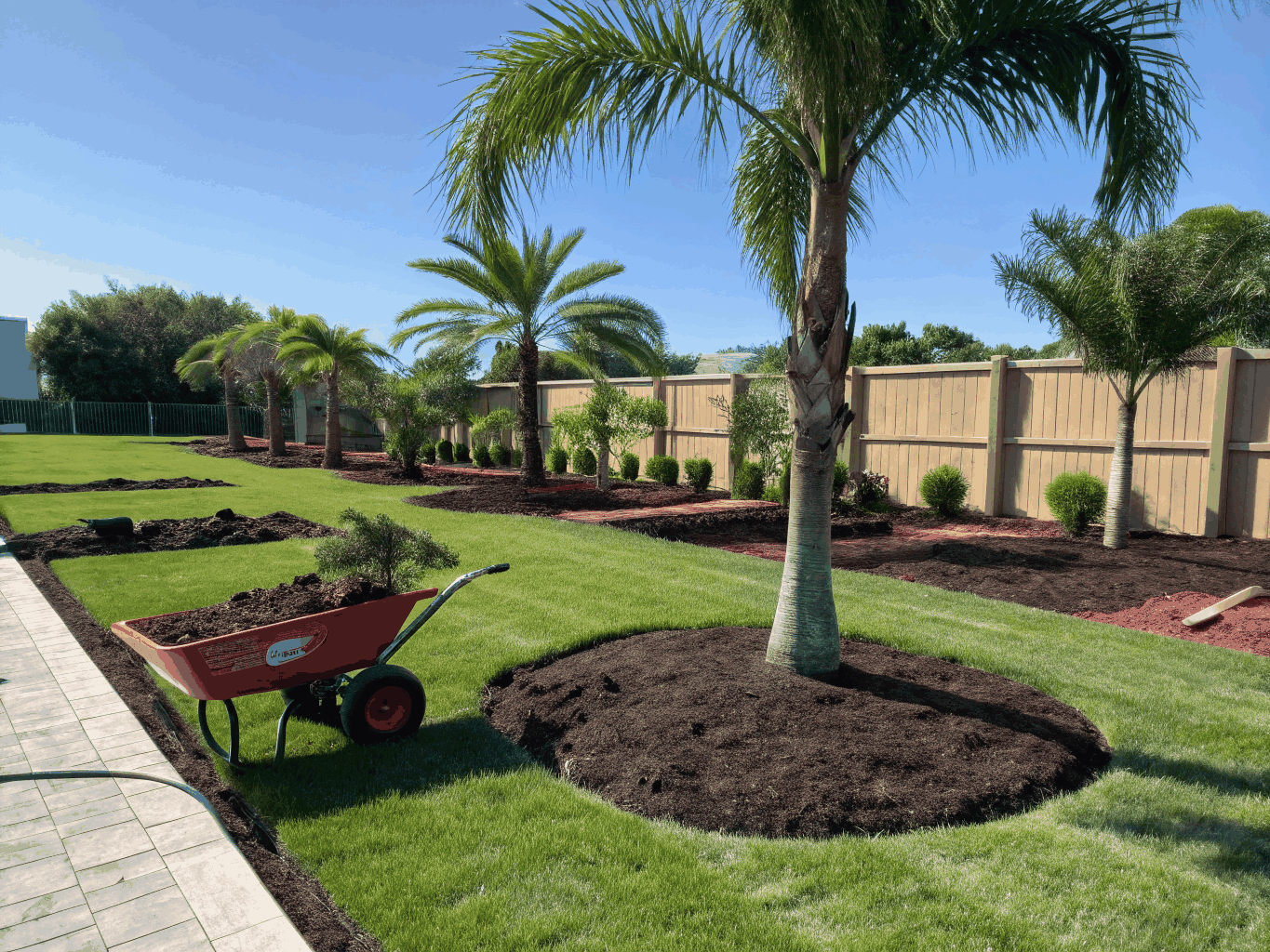 Manicured residential Florida estate garden with trimmed palm trees